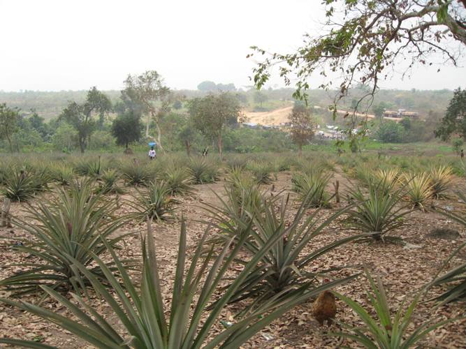 Không thể có an ninh lương thực nếu không có an ninh nguồn nước